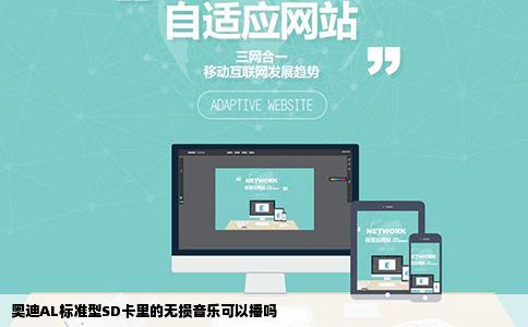 奥迪AL标准型SD卡里的无损音乐可以播吗