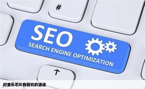 对音乐芯片有研究的请进