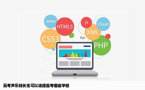 高考声乐特长生可以选择报考哪些学校