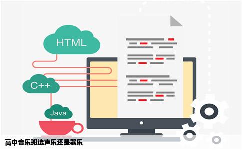 高中音乐班选声乐还是器乐