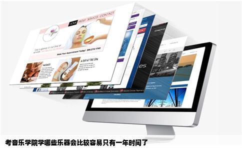 考音乐学院学哪些乐器会比较容易只有一年时间了