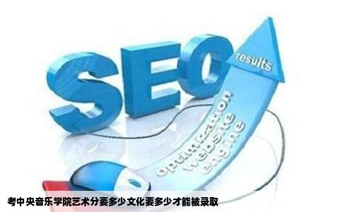 考中央音乐学院艺术分要多少文化要多少才能被录取