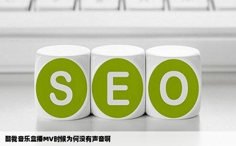酷我音乐盒播MV时候为何没有声音啊