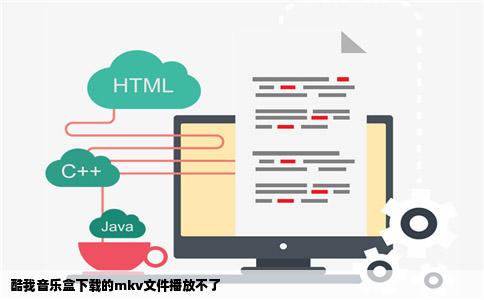 酷我音乐盒下载的mkv文件播放不了