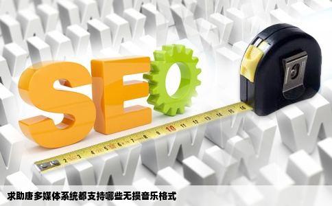 求助唐多媒体系统都支持哪些无损音乐格式