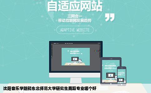 沈阳音乐学院和东北师范大学研究生舞蹈专业哪个好