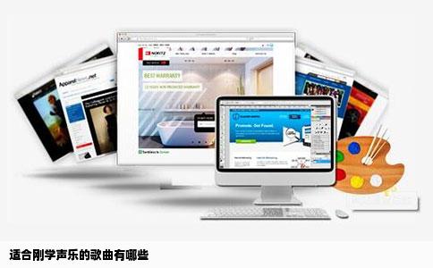 适合刚学声乐的歌曲有哪些