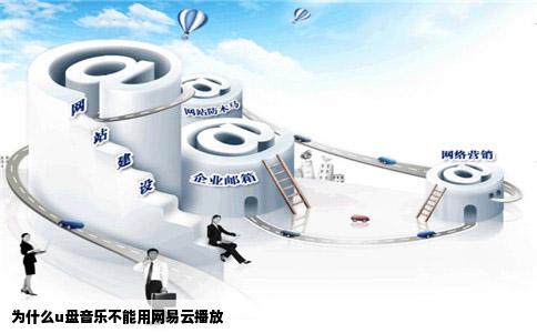 为什么u盘音乐不能用网易云播放