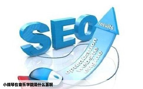 小提琴在音乐学院是什么系啊