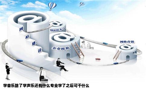 学音乐除了学声乐还有什么专业学了之后可干什么