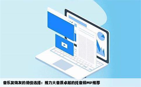 音乐发烧友的绝佳选择：推力大音质卓越的纯音频MP推荐