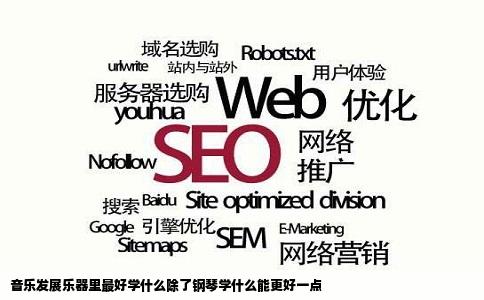 音乐发展乐器里最好学什么除了钢琴学什么能更好一点