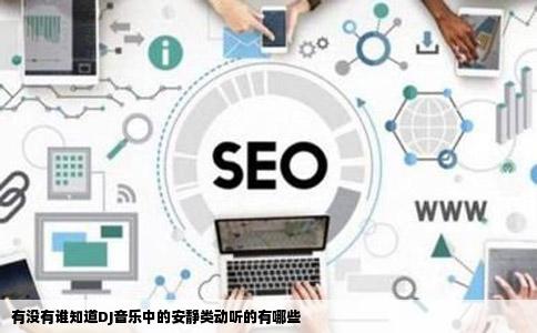 有没有谁知道DJ音乐中的安静类动听的有哪些