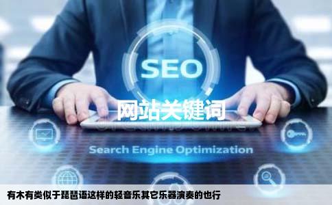 有木有类似于琵琶语这样的轻音乐其它乐器演奏的也行