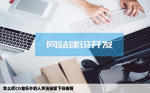 怎么把CD音乐中的人声消掉留下伴奏啊